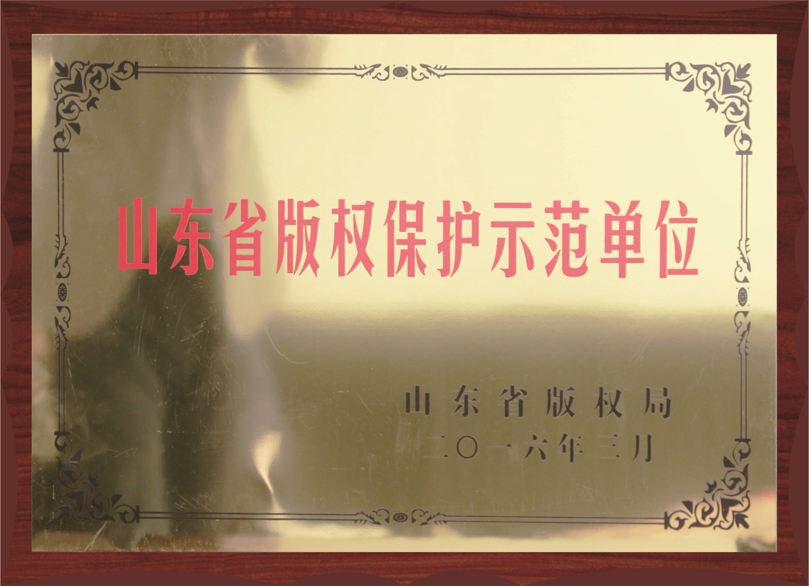 山東省版權(quán)保護(hù)示范單位