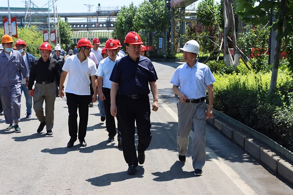 【重點項目推進】王悅勤調(diào)研山東國銘 9MW光伏發(fā)電項目